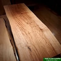 ２８３４、すっきりとして伸びやかな栃の木の一枚板を展示致しました。一枚板と木の家具の専門店エムズファニチャーです。