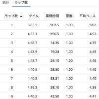 帰宅後Night RUN。