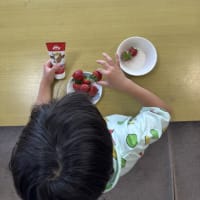 今日のおやつは