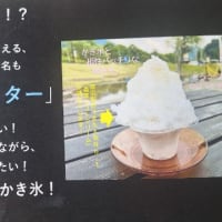 道の駅「みつまた」(新潟県)