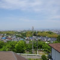 目に青葉邪魔をするのは「竹の秋」