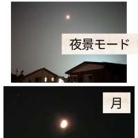 とうとう来ました