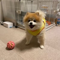 2022年になりました！