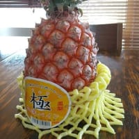 🍍パイナップル