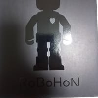 RoBoHoN
