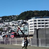 ウエリントンは坂の街