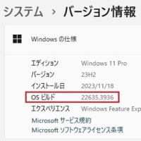 Windows 11 Beta チャンネルに 累積更新(KB5040535) が配信されてきました。
