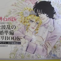 ゼクシィ2月号 愛と波乱の結婚準備 ダンドリBOOK (1) - Vばら ゼクシィ2月号 愛と波乱の結婚準備 ダンドリBOOK (1) - Vばら