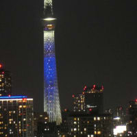 日向坂46の虹開催記念特別ライティング32