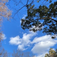 11.公園