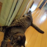 良いことを教えてあげよう