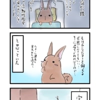 無防備レオパ