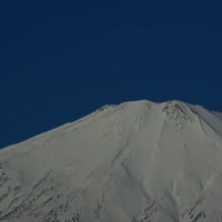 今朝の富士山