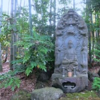鎌倉散歩～若宮大路段葛・報国寺