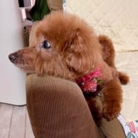 ７月６日 暑さを乗り切る