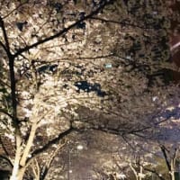 ブログ名変更