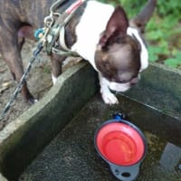 エアコンとヒータ―の関係
