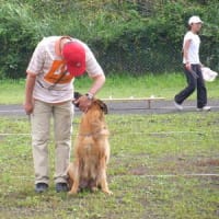中部日本CH競技会