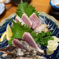 高知に行ってきました