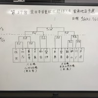 全日本学童雲南予選