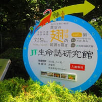7月、ある休日のあれこれ（2）