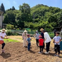６月のさらなる活動