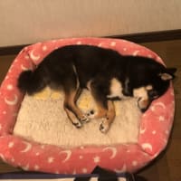 いざ独りになってみると