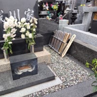 月命日の墓参り