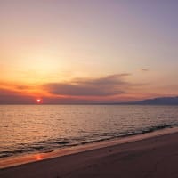 今朝の大山さん　4月17日