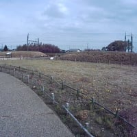 【群馬】みさと芝桜公園　日高遺跡