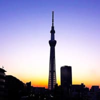 『亀戸天神 藤 ライトアップ』