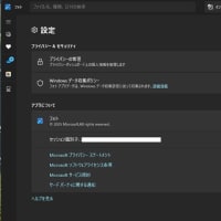 Copilot 、Microsoft 365 Copilot 、Microsoft フォト  3本のストアアプリが同時に降りてきました。