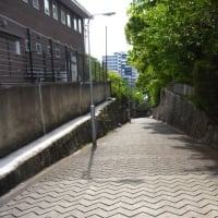 夕陽ヶ丘散歩　愛染堂～大江神社