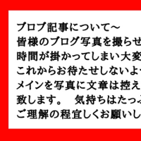 ✨💕🇯🇵国会議員『桜井シュウ』さん御来店✨🤩