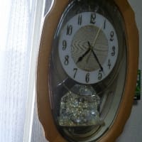 今日は。。七タ様です。
