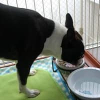 お水のんでますか？