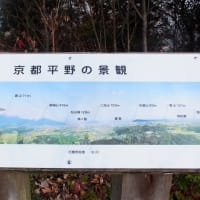 06/02お城めぐり-11（行橋市：馬ケ岳城跡）