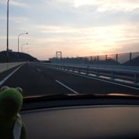 帰るよン！