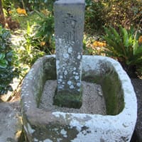 きんかん最中（南大隅町・根占）