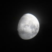 良く動いたな！良く動けたな？（道志）