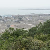 映画、遺体「明日への十日間」