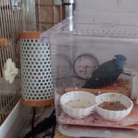 温度と湿度の管理は大切
