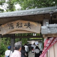 昼食難民