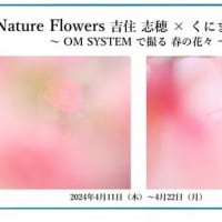 【写真展】吉住志穂 × くにまさひろし　「〜OM SYSTEM で撮る春の花々〜」