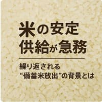 米の安定供給が急務 ～繰り返される“備蓄米放出”の背景とは～