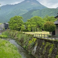 久しぶりの湯布院旅行