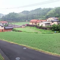 選挙に行こう