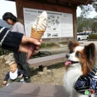 月命日に出石へ(^^♪