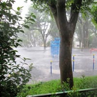 ゲリラ豪雨