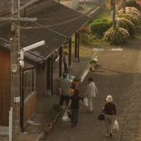 日豊本線485系　春の豊後・豊前路を駆ける列車　2007-05-03